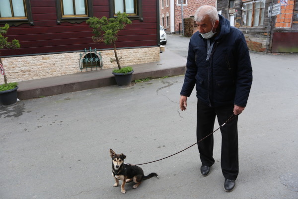 sahiplenilen köpek Laki