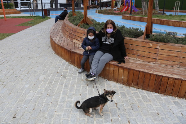 sahiplenilen köpek Laki