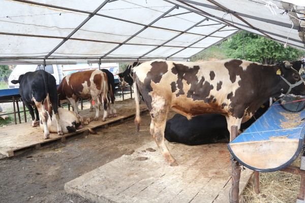 kurban alanı ziyaret
