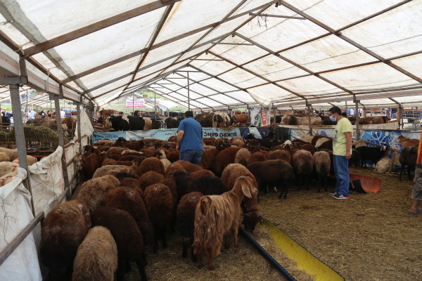 kurban alanı ziyaret