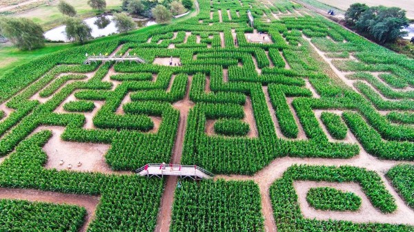 Mısır Labirenti örnek