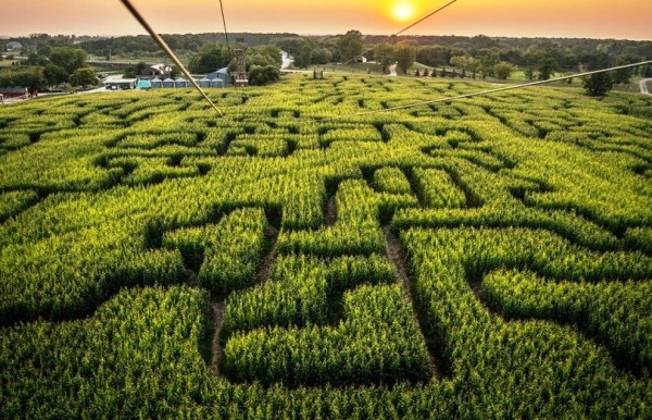 Mısır Labirenti örnek 2