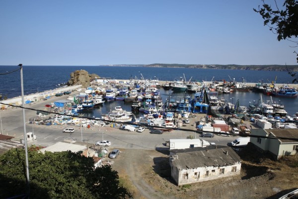 balık sezonu