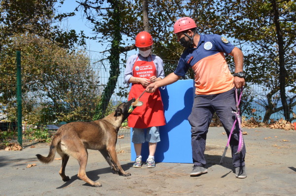 Arama Kurtarma Köpeği Şilan