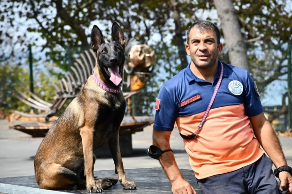 Arama Kurtarma Köpeği Şilan