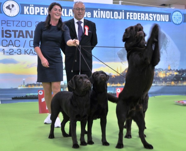 Petzoo Eurasia Fuarı