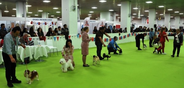 Petzoo Eurasia Fuarı