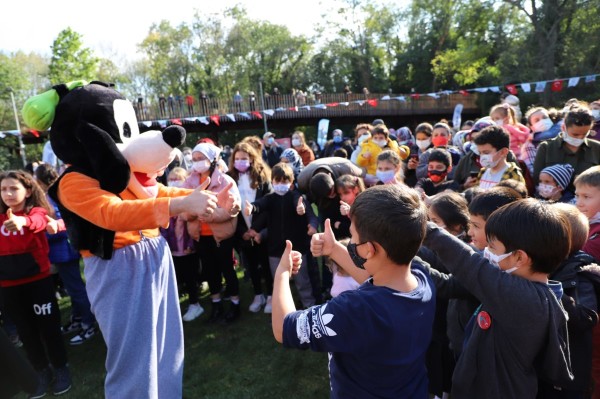 Animasyon Gösterileri