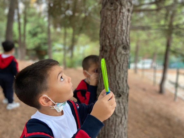 Anaokul doğa keşif