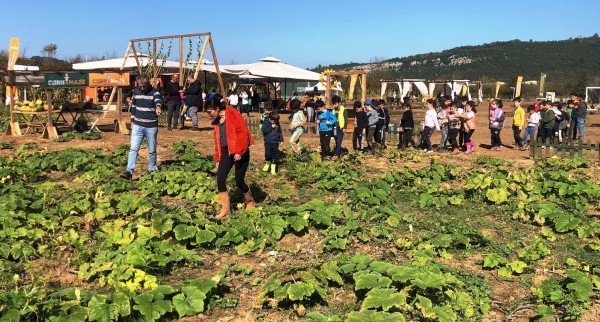 Avrupa’nın en büyük bahçesi, “Corn Maze Bahçe” Ağva’da kuruluyor