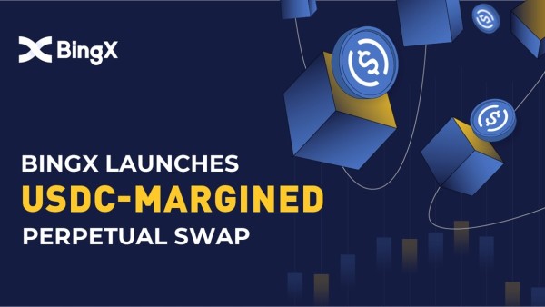 Bingx, Kullanıcıları İçin USDC Marjlı Perpetual Swap Sunuyor