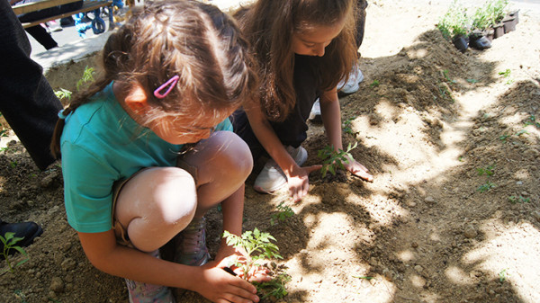 Bahçeşehir Tek Okullarında yenilenebilir enerji ve tarım farkındalığı