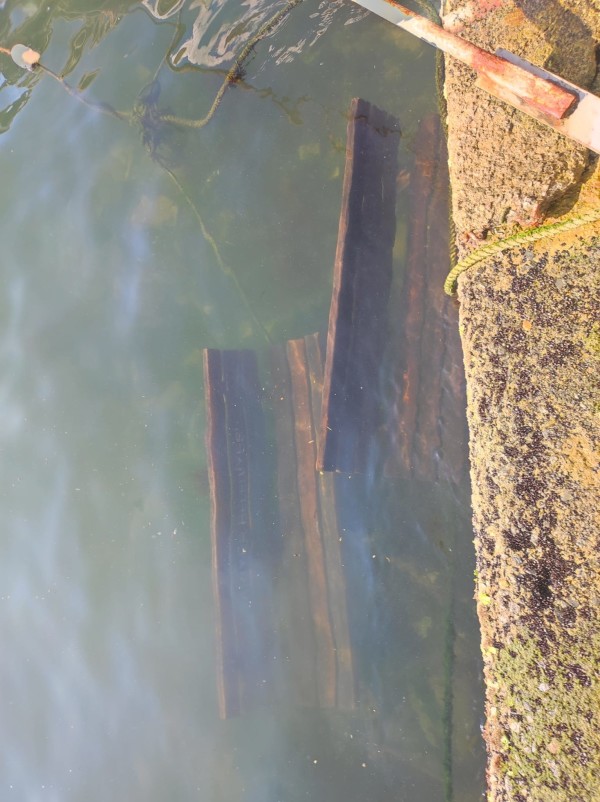 Eyüp Odabaşı Sporcular Parkı’nda yangın