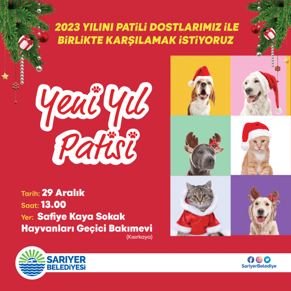 SOKAK HAYVANLARI İLE YENİ YIL PATİSİ