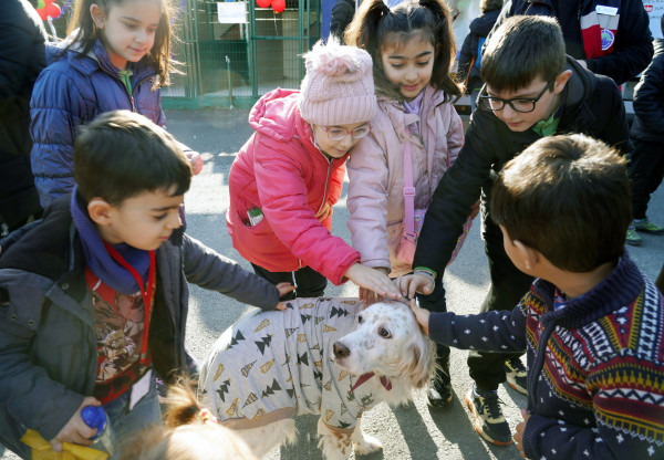 PATİLİ DOSTLARIMIZ YENİ YILA “MERHABA” DEDİ