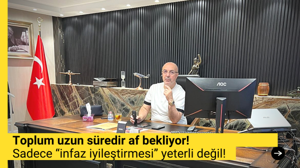 araştırmacı yazar demir