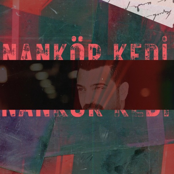 Nankör Kedi Kapak Fotoğrafı