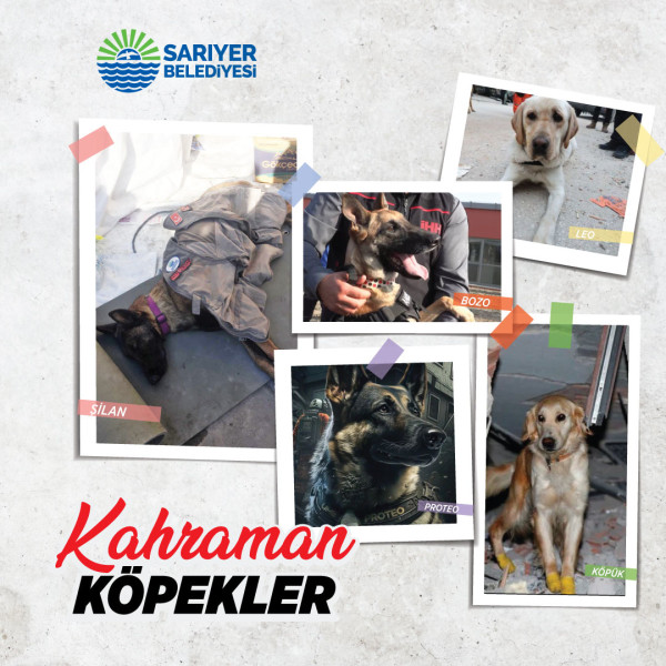 Şilan Kahramanlar Arasında