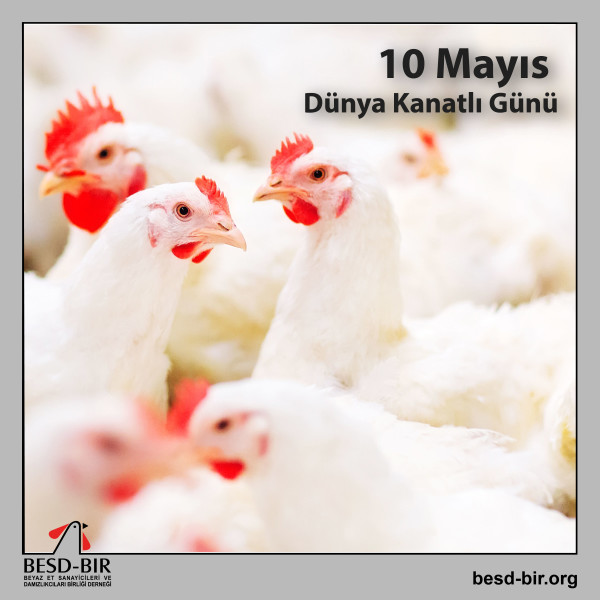 10 Mayıs Dünya Kanatlı Günü