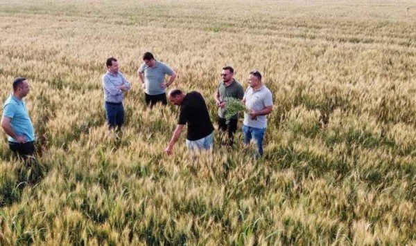 Netafim Damla Sulama