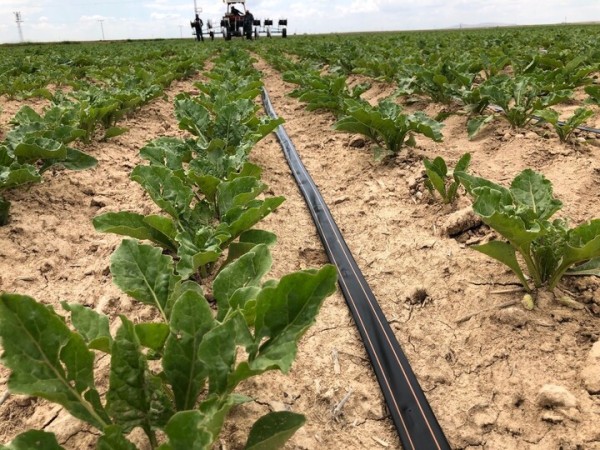 Netafim Damla Sulama