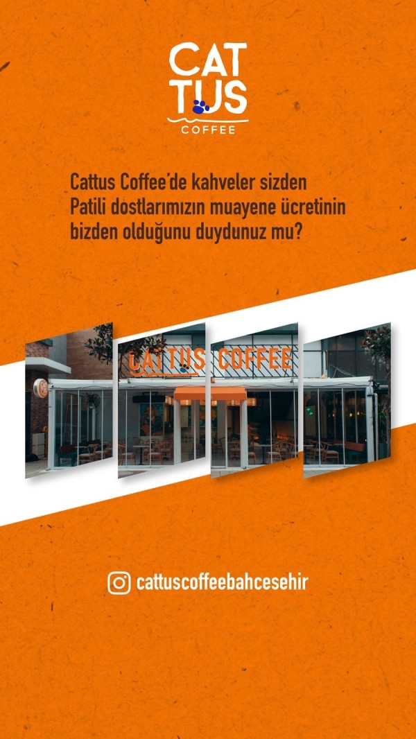 Cattus Coffee - Patili