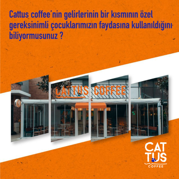 Cattus Coffee Pati projesi
