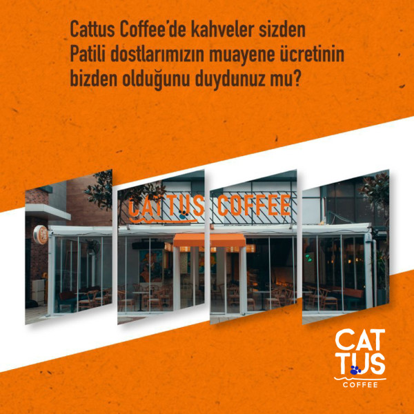 Cattus Coffee - Özel Çocuklar