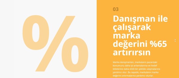 Marka Danışmanlığı