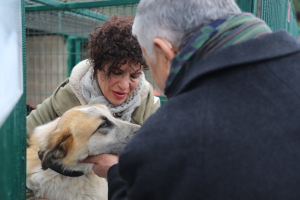 kedi bakım ünitesi ve sahiplendirme alanı açılışı