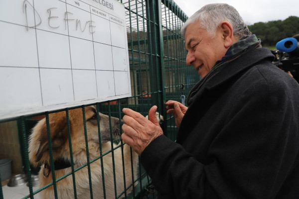 kedi bakım ünitesi ve sahiplendirme alanı açılışı