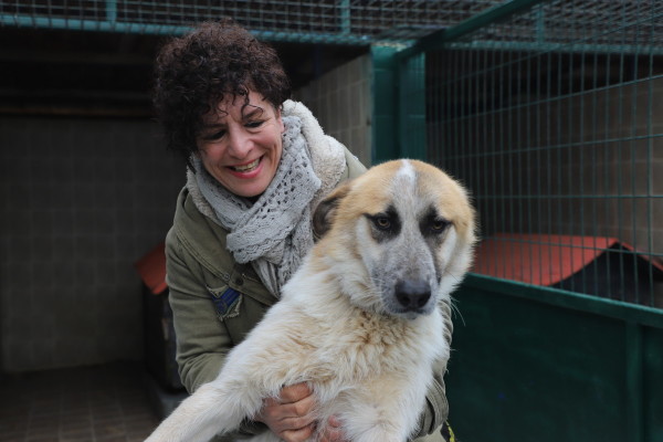 kedi bakım ünitesi ve sahiplendirme alanı açılışı