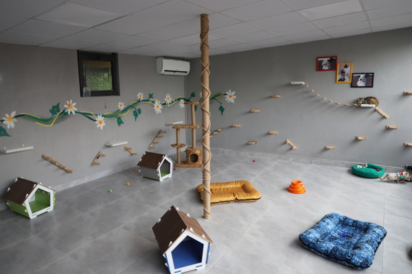 kedi bakım ünitesi ve sahiplendirme alanı açılışı