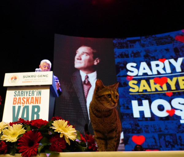 SARIYER KAZANACAK, SARIYERLİ KAZANACAK