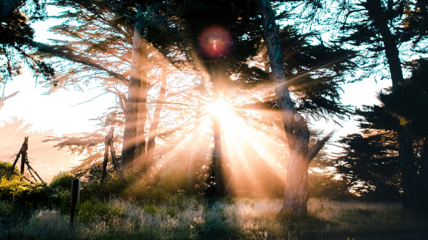 Bu yöntem çocuklarda alt ıslatmaya iyi geliyor