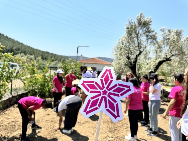 Yanmar Turkey - Sakura 1