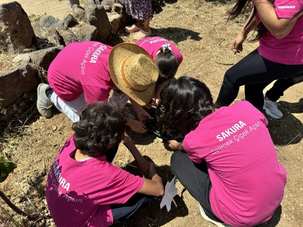 Yanmar Turkey - Sakura 2