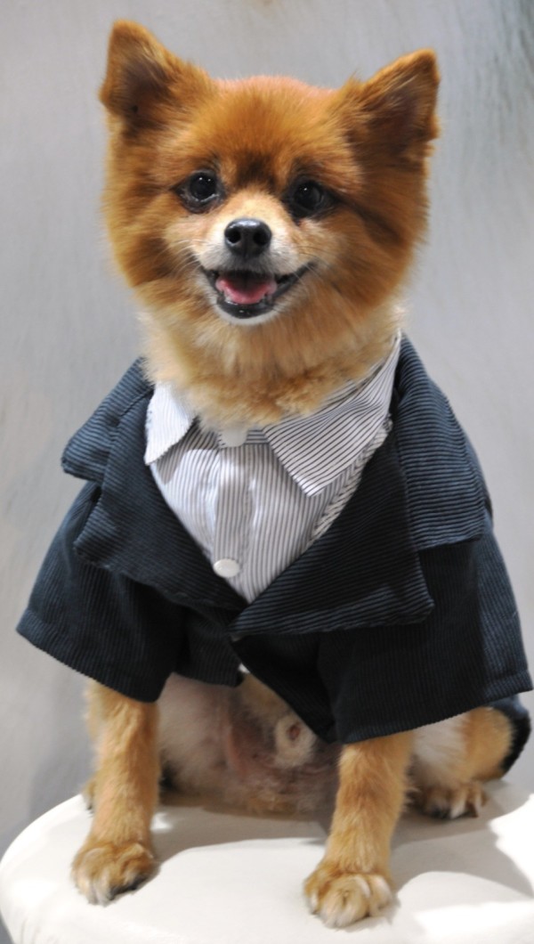 “Evcil Hayvanlara Dair Her Şey” Petzoo Fuarında