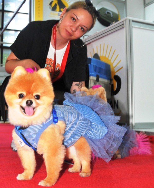 Evcil hayvanlar için bayram alışverişi ve tıraş yoğunluğu başladı