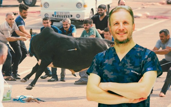 Ortopedi ve Travmatoloji Uzmanı Prof. Dr. Osman Tecimel